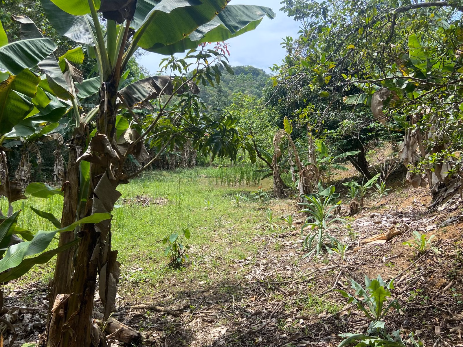 Chácara de 3.600 m² em São José dos Campos, SP