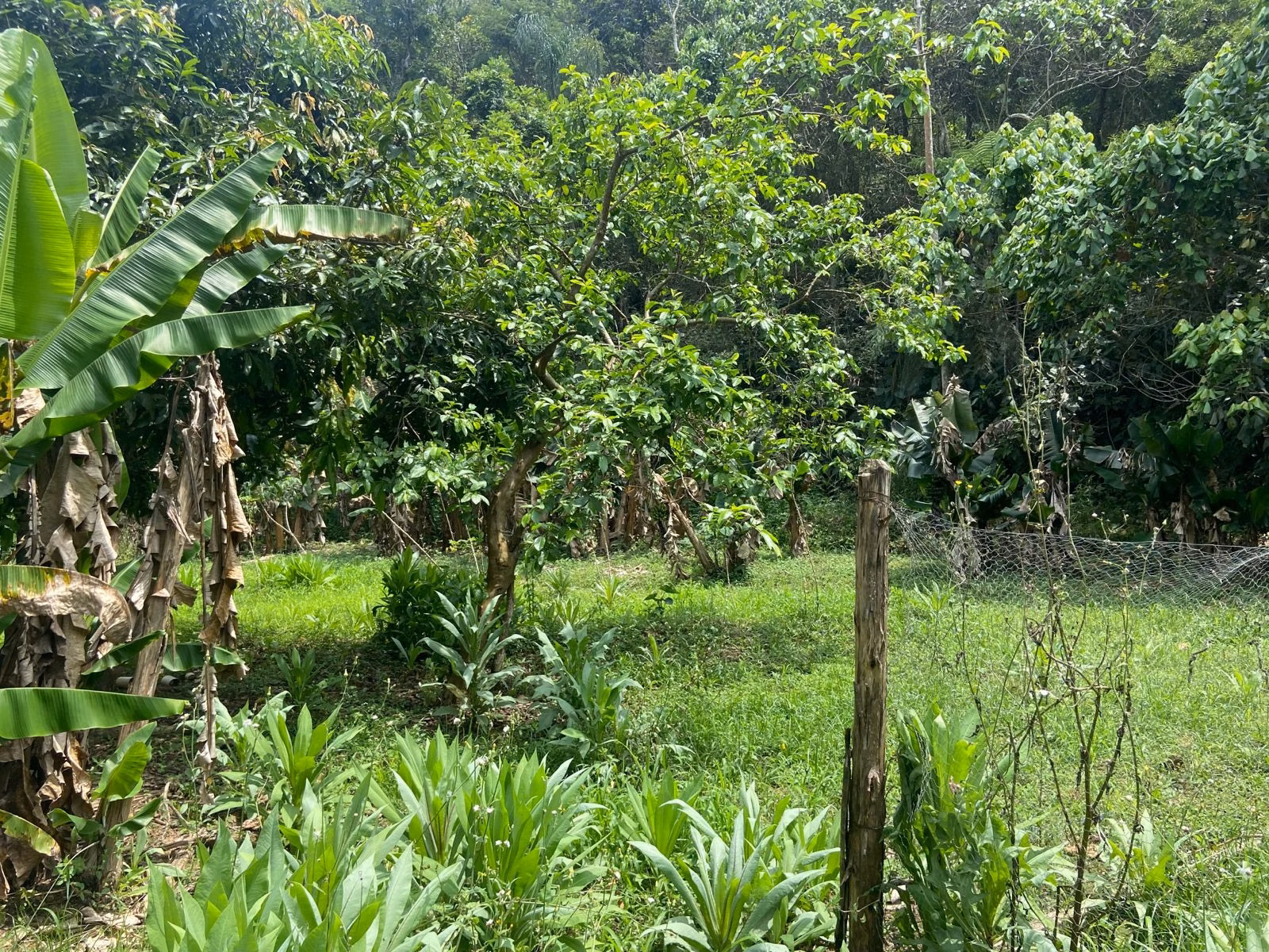 Chácara de 3.600 m² em São José dos Campos, SP