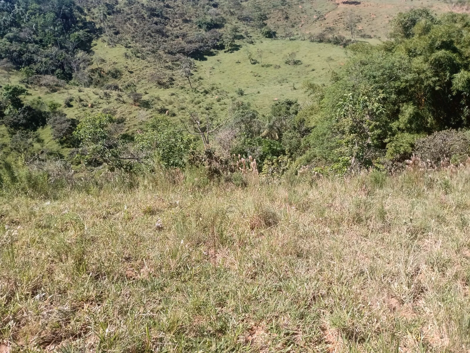 Terreno de 22 ha em São José dos Campos, SP