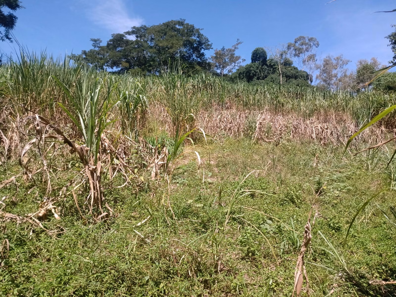 Terreno de 22 ha em São José dos Campos, SP