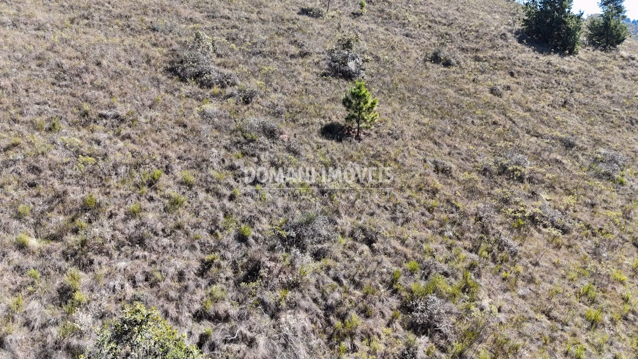 Plot of 1,390 m² in Campos do Jordão, SP, Brazil