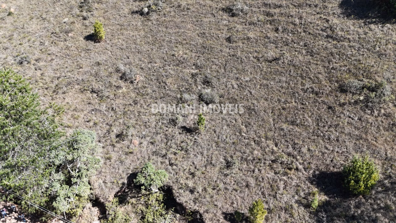 Terreno de 1,390 m² em Campos do Jordão, SP