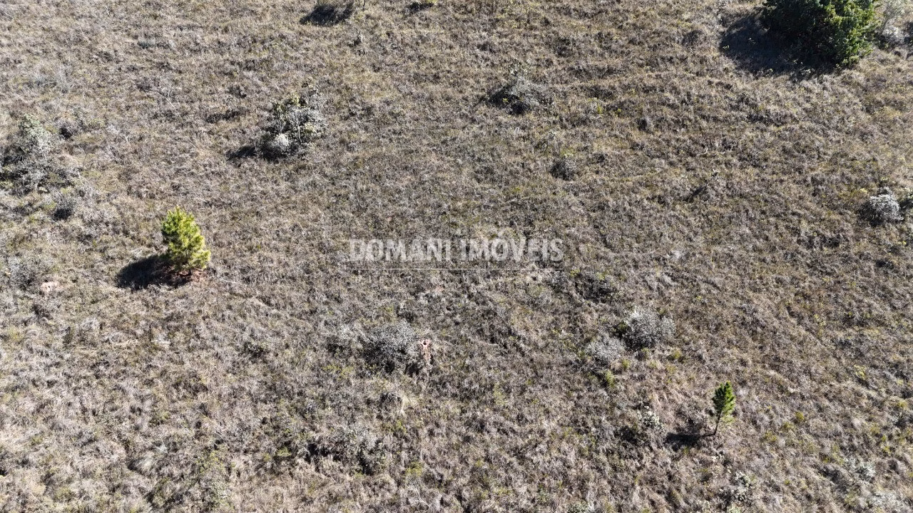 Terreno de 1,390 m² em Campos do Jordão, SP