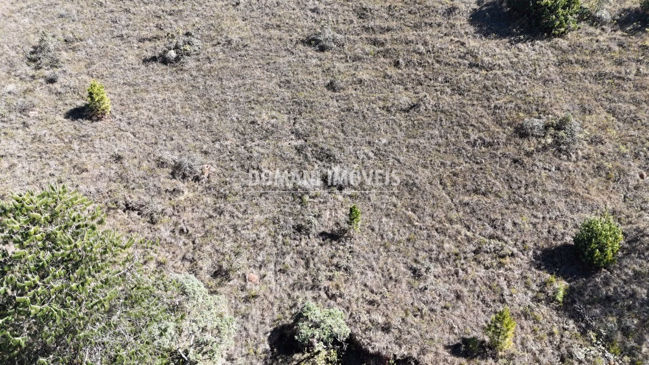 Terreno de 1,390 m² em Campos do Jordão, SP