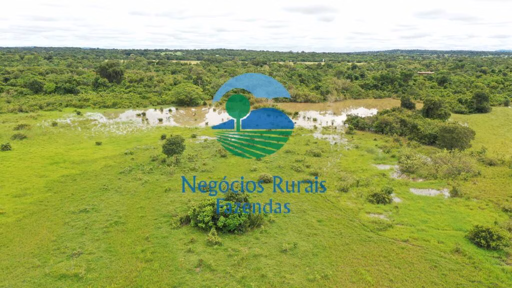 Fazenda de 1.180 ha em Araguapaz, GO