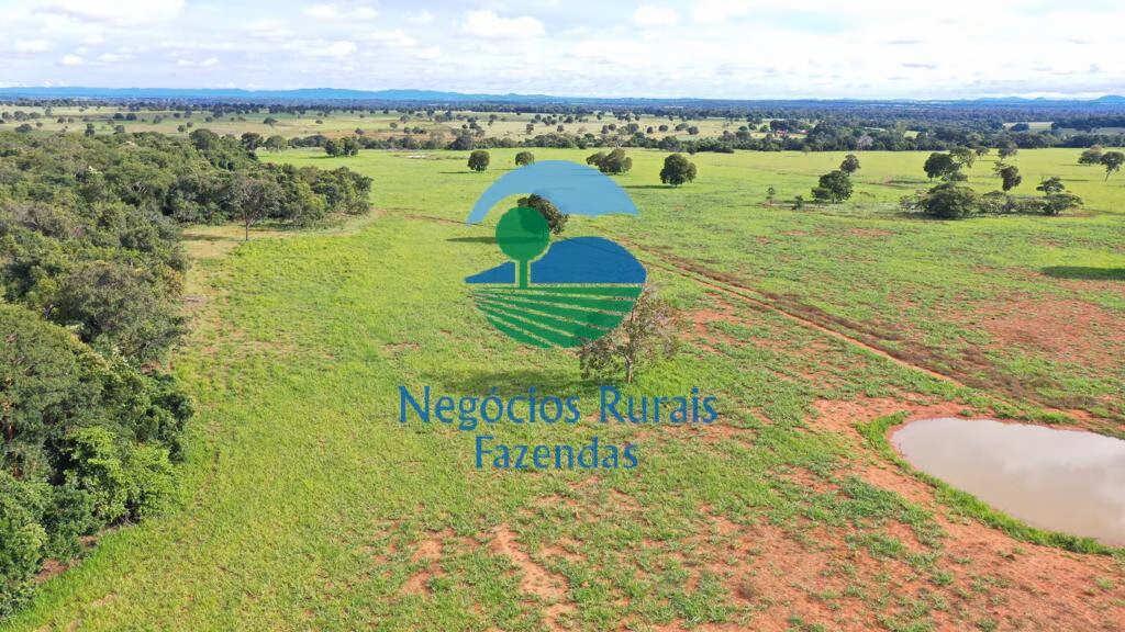 Fazenda de 1.180 ha em Araguapaz, GO