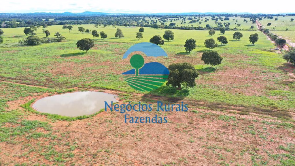 Fazenda de 1.180 ha em Araguapaz, GO