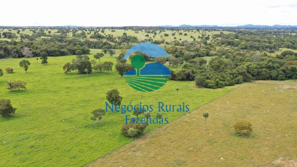 Fazenda de 1.180 ha em Araguapaz, GO