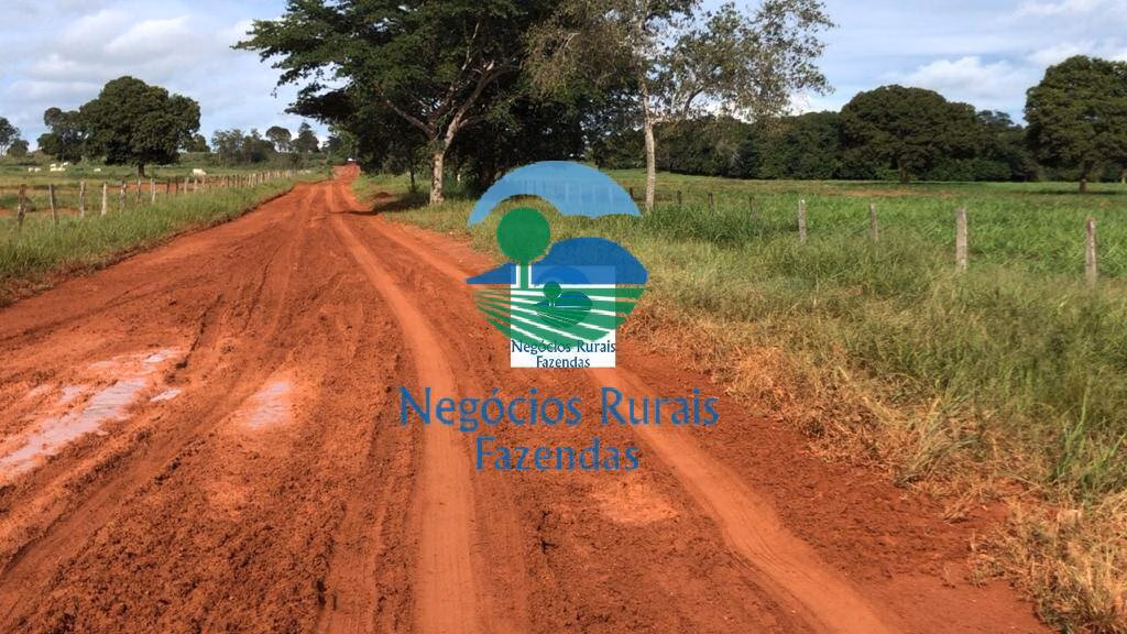 Fazenda de 1.180 ha em Araguapaz, GO