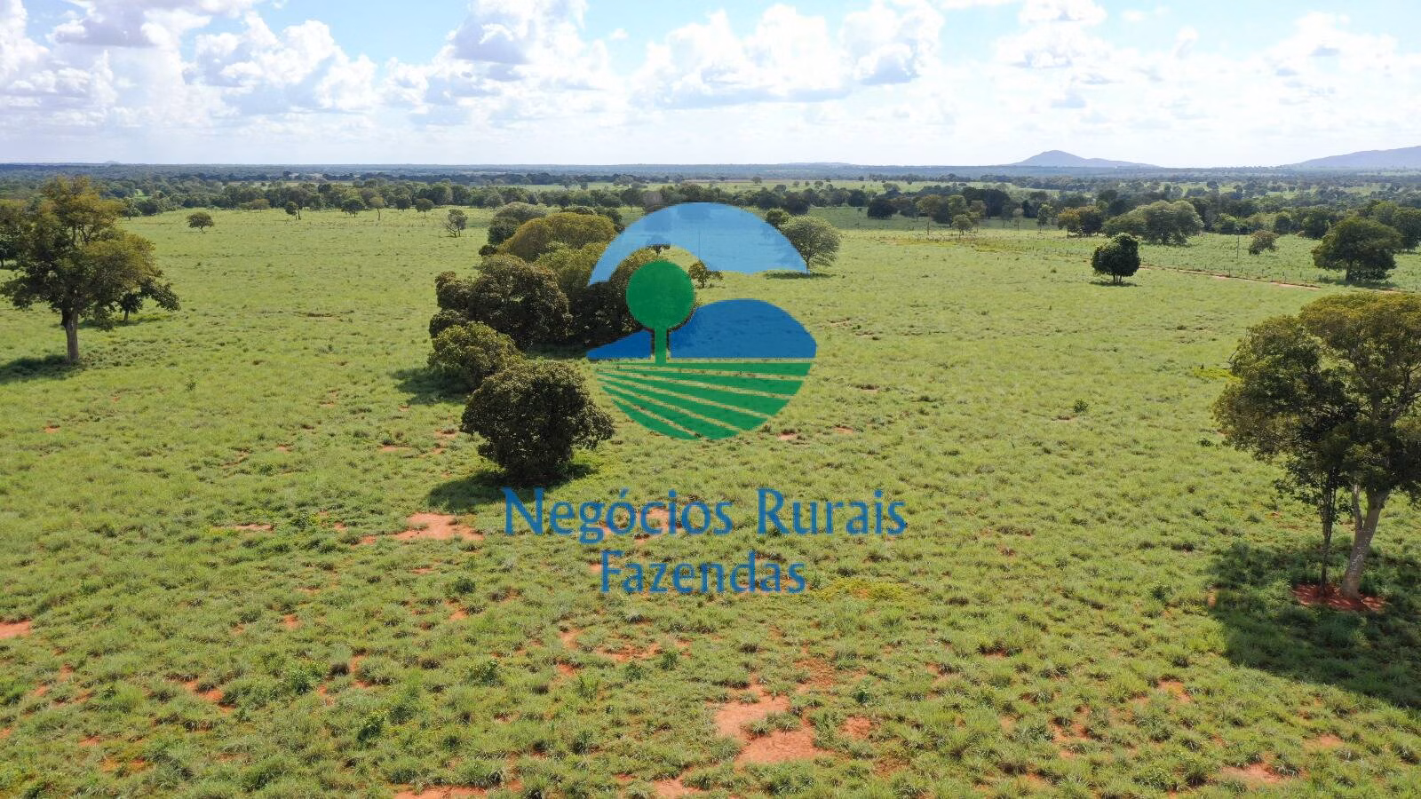 Fazenda de 1.180 ha em Araguapaz, GO