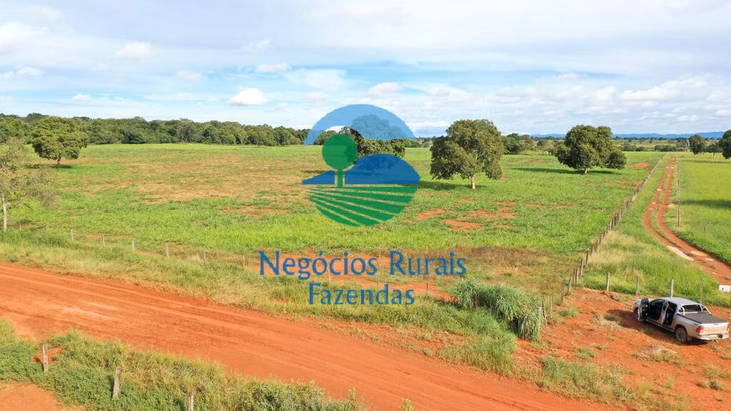 Fazenda de 1.180 ha em Araguapaz, GO