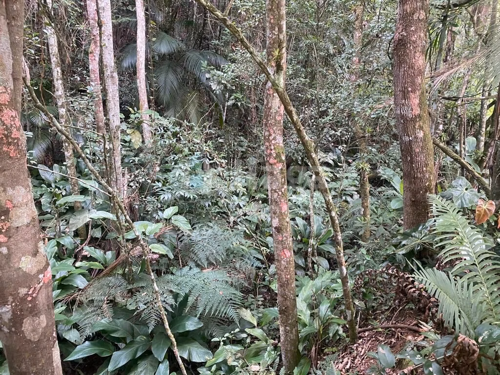 Country home of 1 acres in Brusque, SC, Brazil
