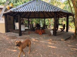 Farm of 712 acres in Cáceres, MT, Brazil