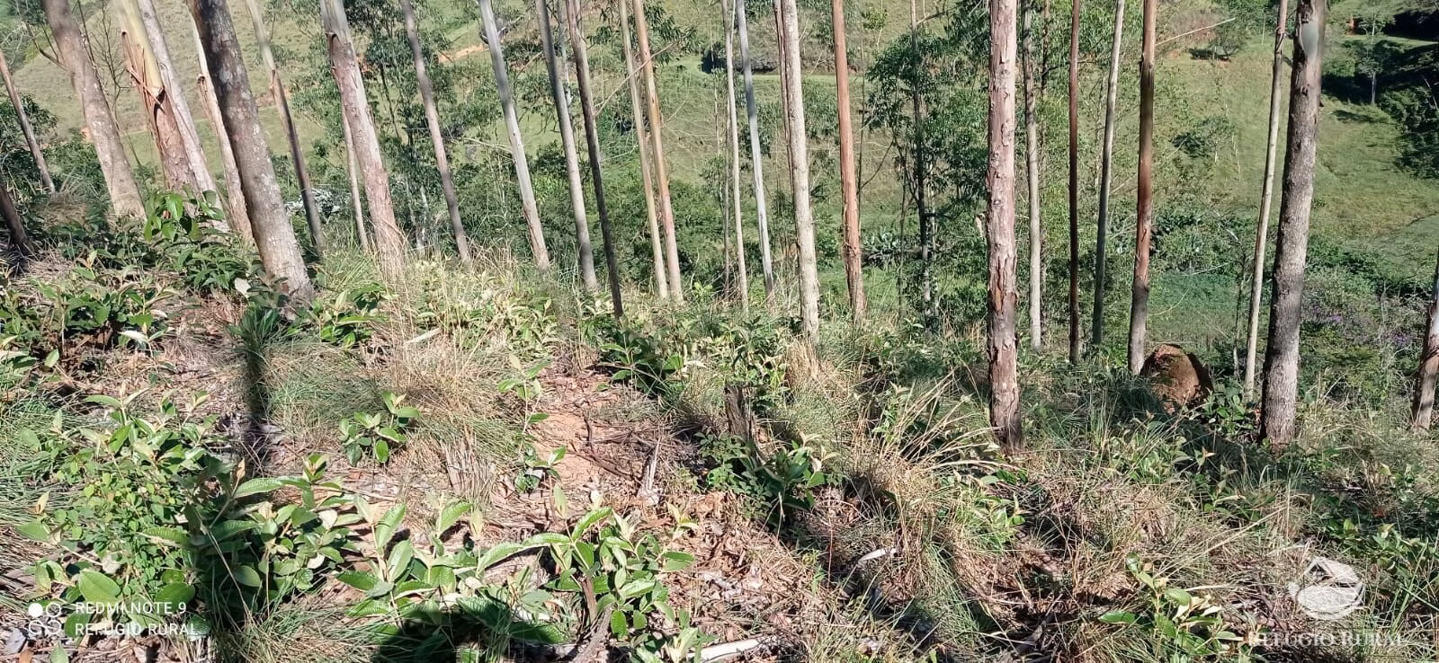 Sítio de 4 ha em São José dos Campos, SP
