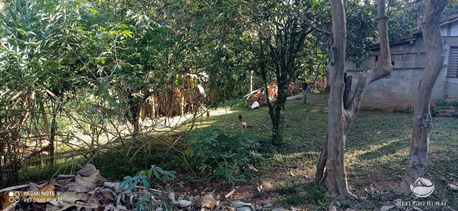Sítio de 4 ha em São José dos Campos, SP