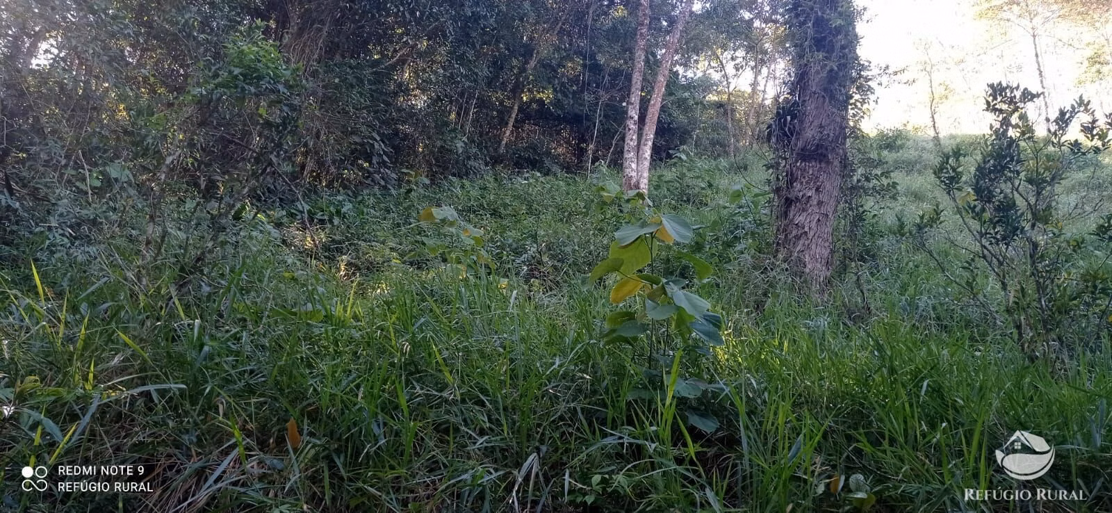 Sítio de 4 ha em São José dos Campos, SP