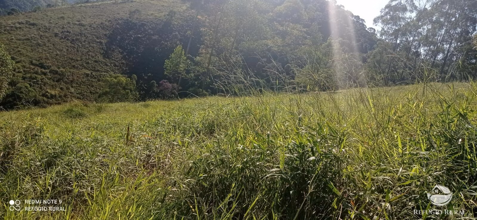Sítio de 4 ha em São José dos Campos, SP