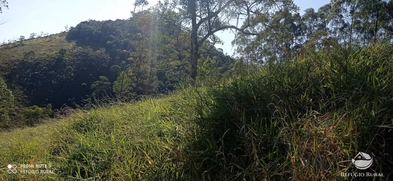 Sítio de 4 ha em São José dos Campos, SP