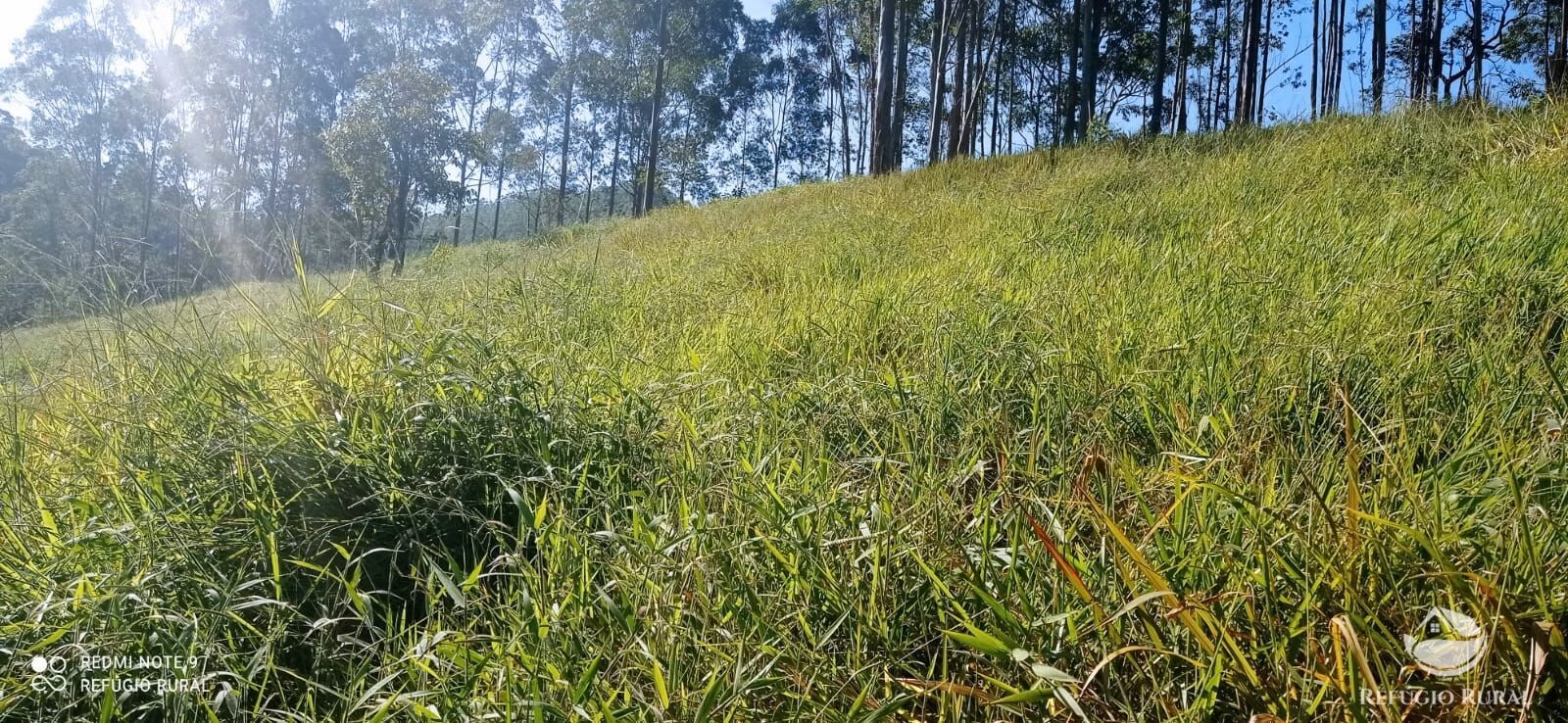 Sítio de 4 ha em São José dos Campos, SP