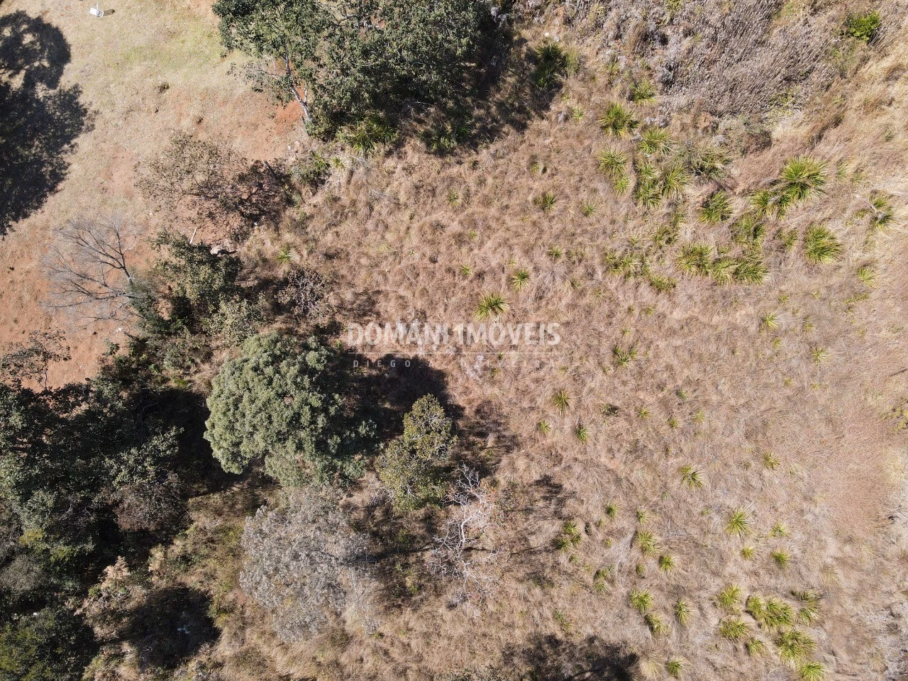 Plot of 1,170 m² in Campos do Jordão, SP, Brazil