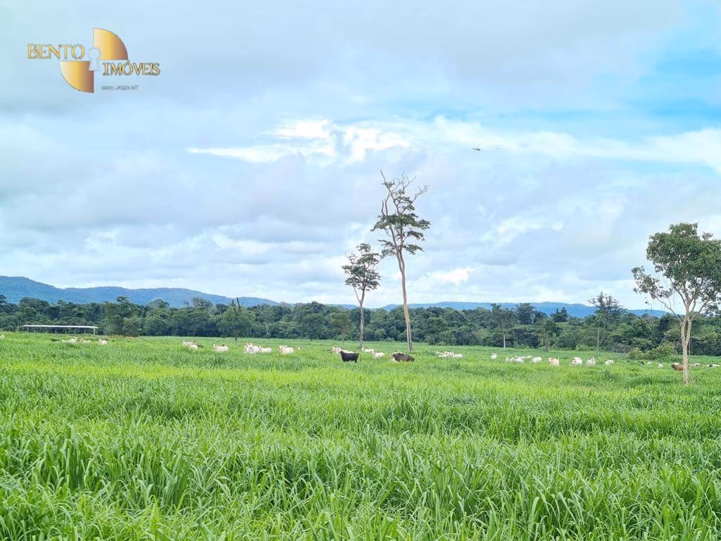 Fazenda de 968 ha em Confresa, MT
