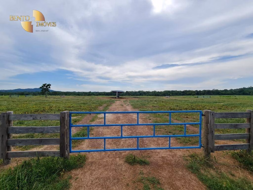 Fazenda de 968 ha em Confresa, MT