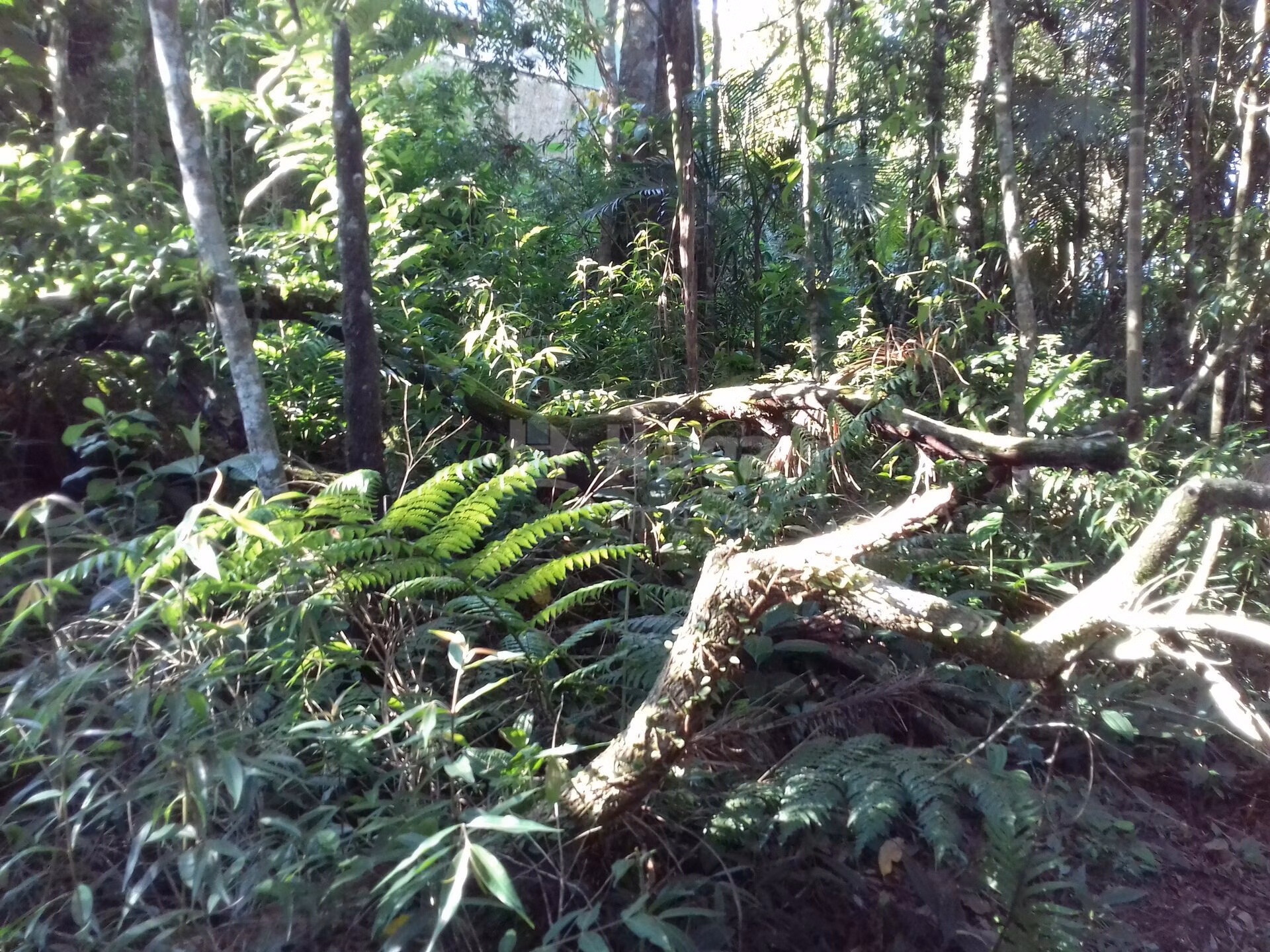 Terreno de 450 m² em Brusque, SC