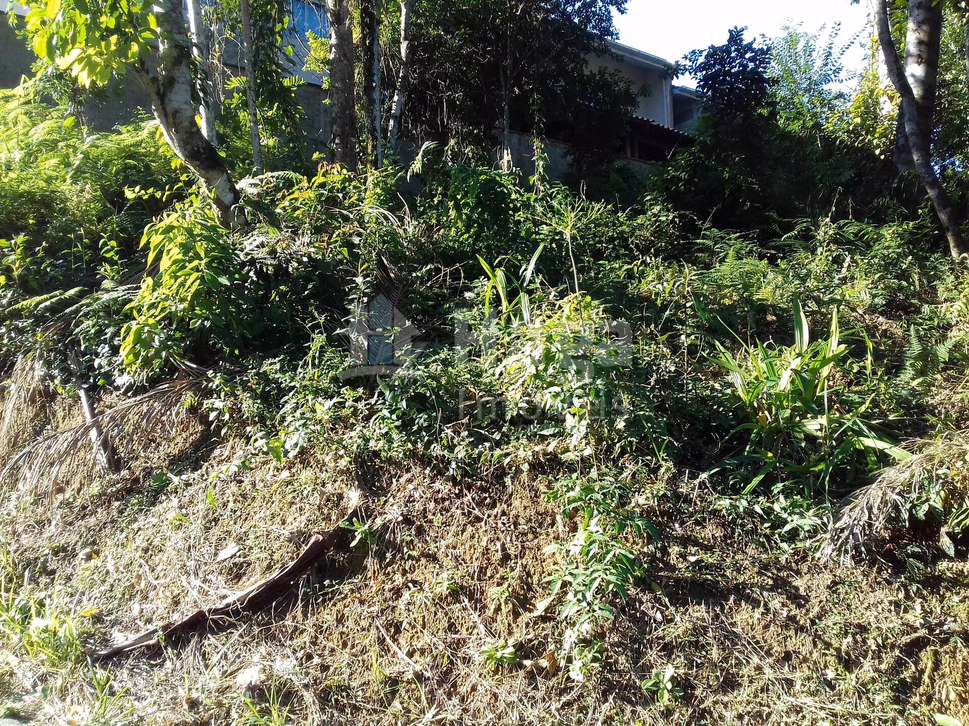 Terreno de 450 m² em Brusque, SC