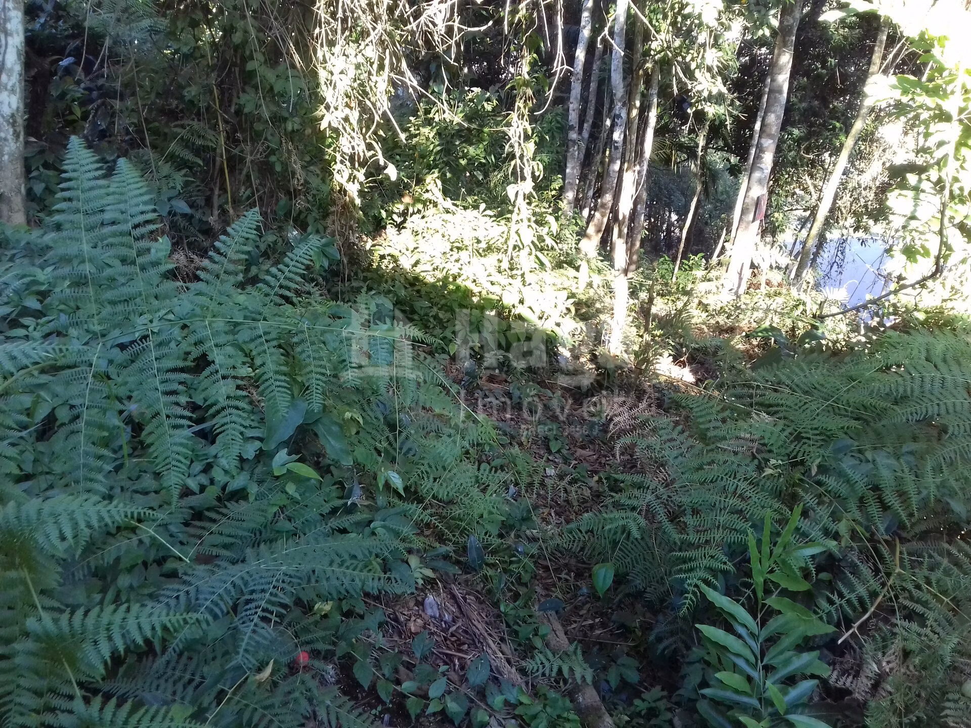 Terreno de 450 m² em Brusque, SC