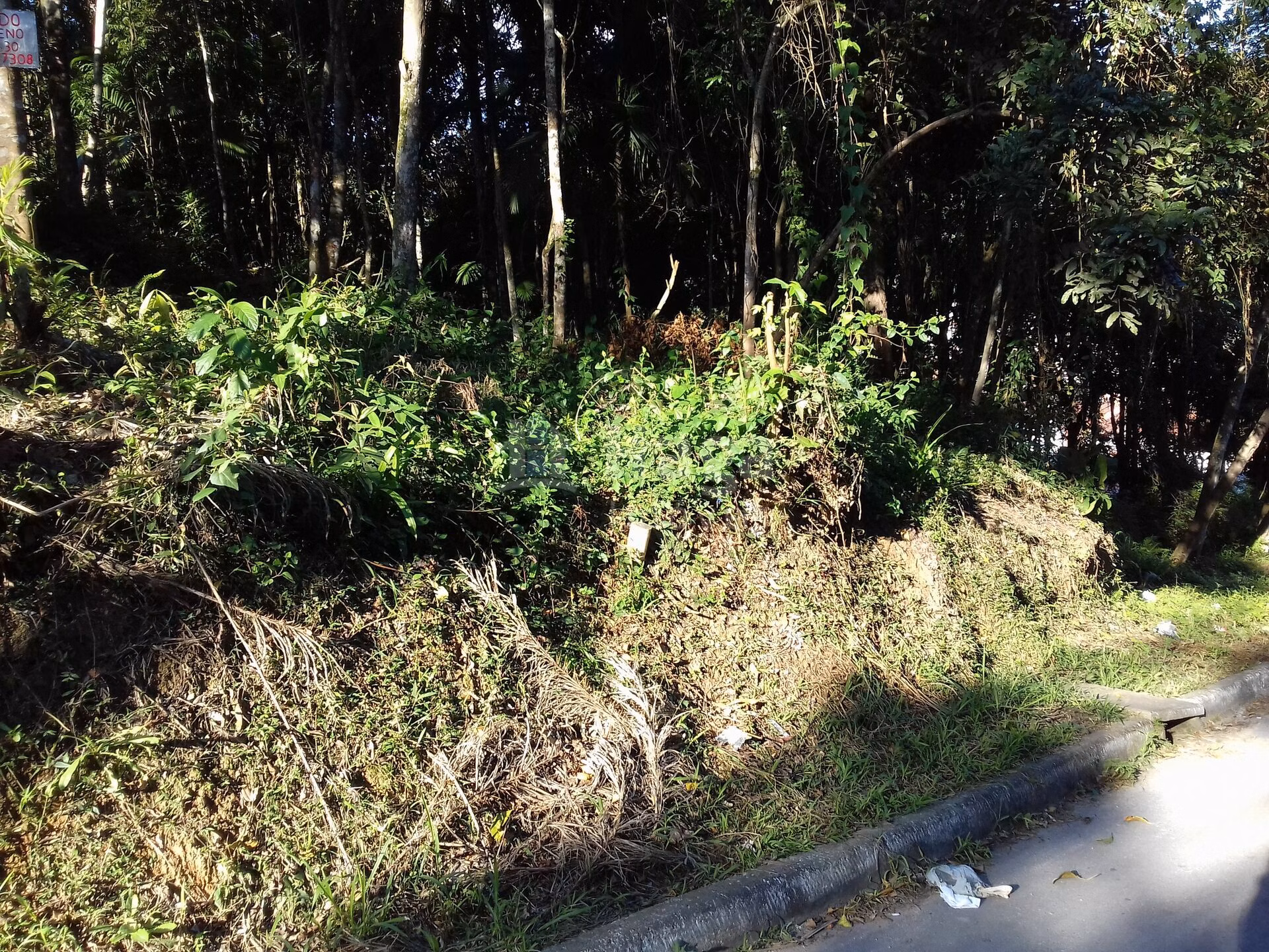 Terreno de 450 m² em Brusque, SC