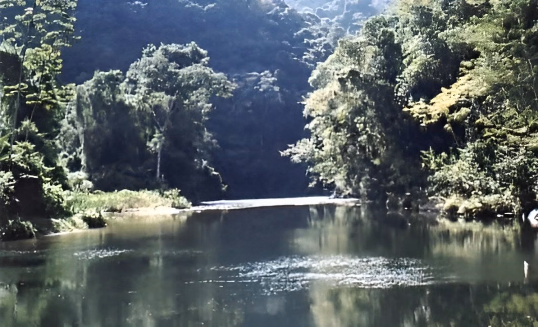 Farm of 1.997 acres in Iporanga, SP, Brazil