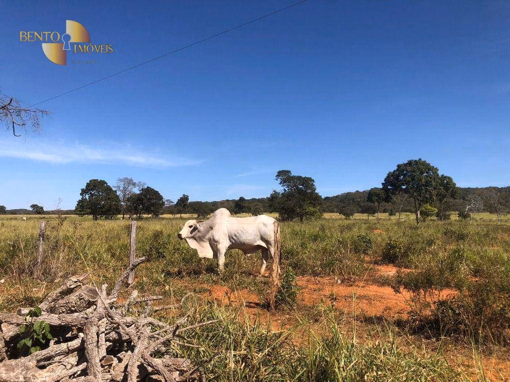 Farm of 3,986 acres in Cáceres, MT, Brazil