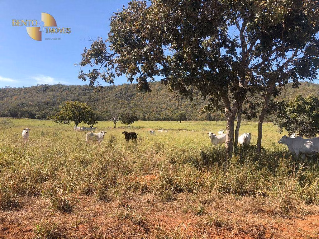 Farm of 3,986 acres in Cáceres, MT, Brazil