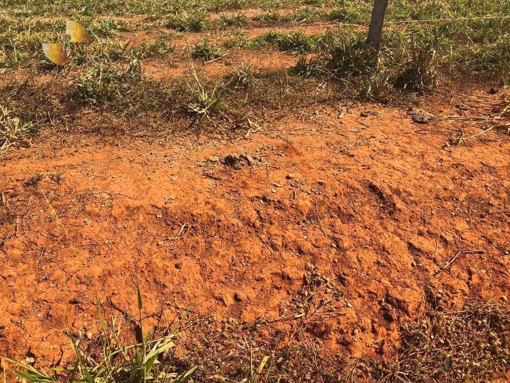 Farm of 3,986 acres in Cáceres, MT, Brazil