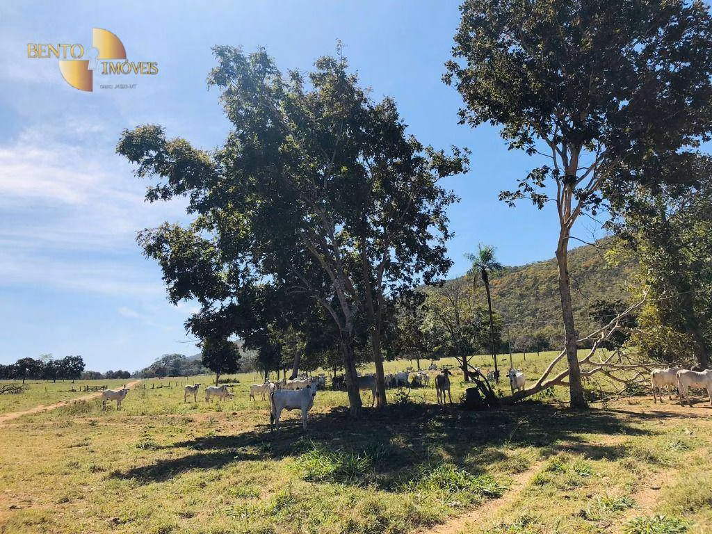 Farm of 3,986 acres in Cáceres, MT, Brazil