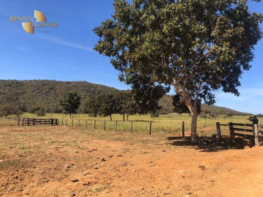 Farm of 3,986 acres in Cáceres, MT, Brazil