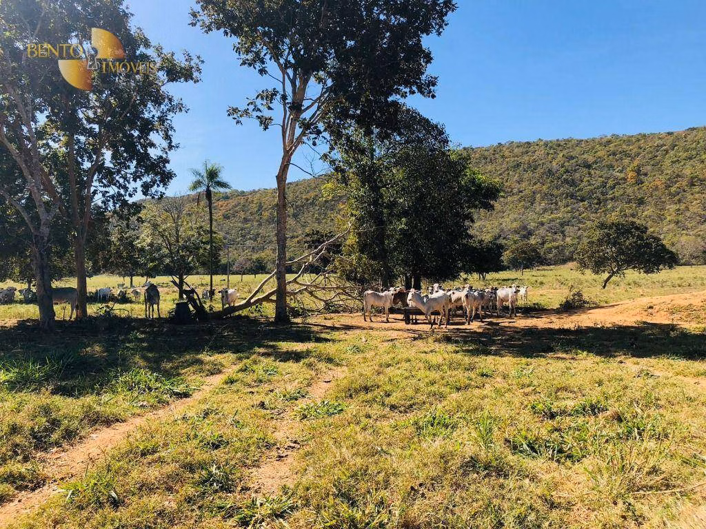Farm of 3,986 acres in Cáceres, MT, Brazil