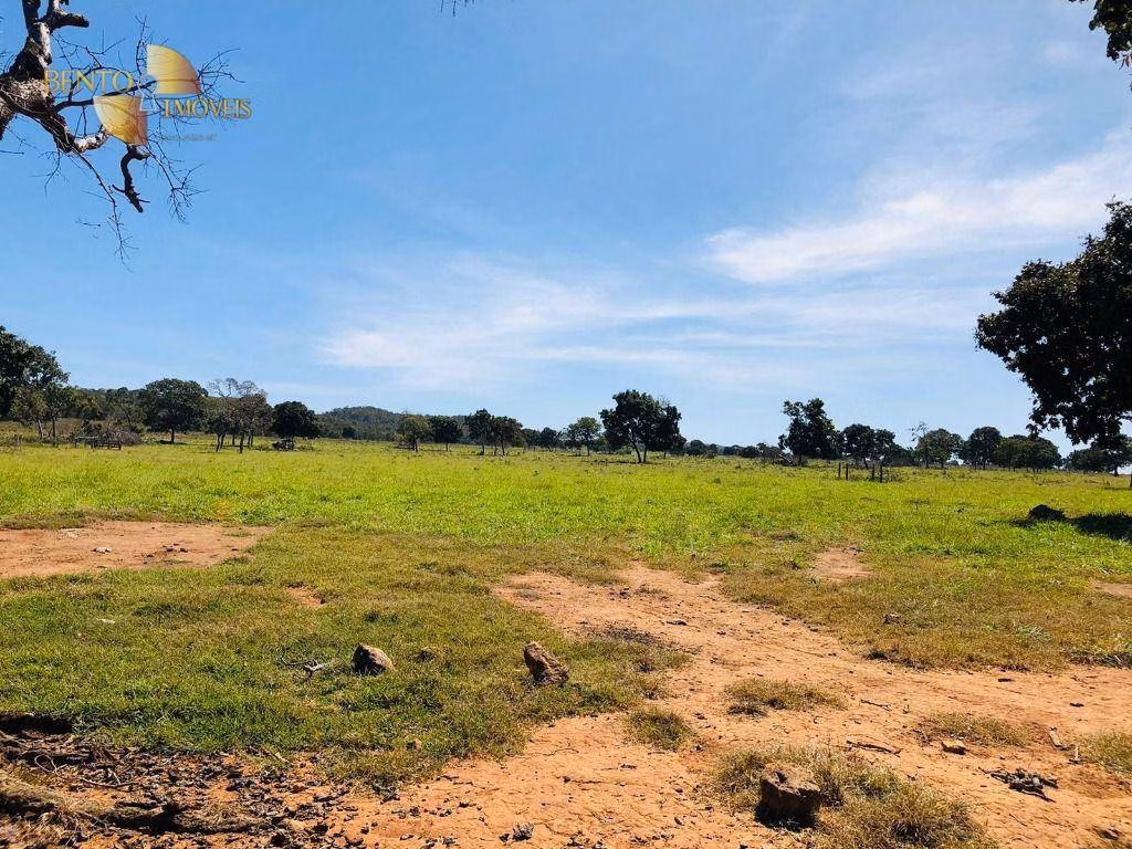 Fazenda de 1.613 ha em Cáceres, MT