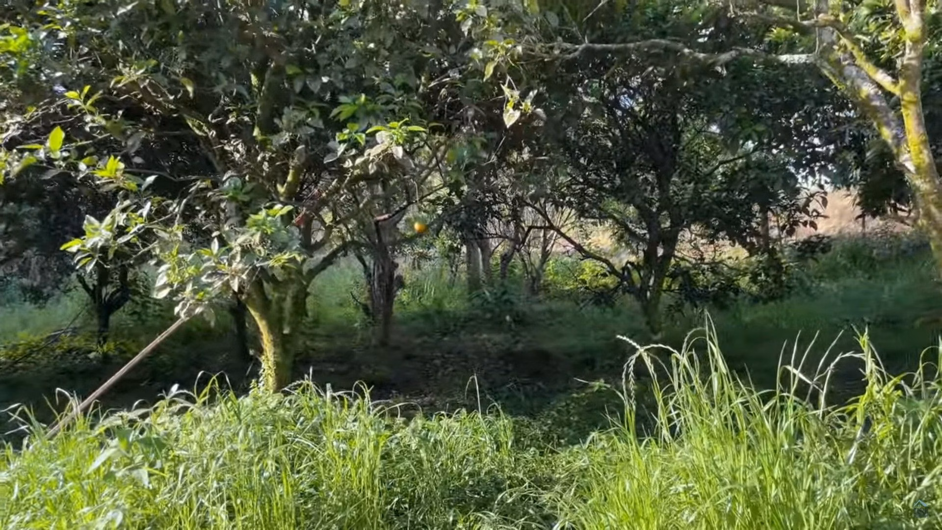 Country home of 22 acres in Caraá, RS, Brazil