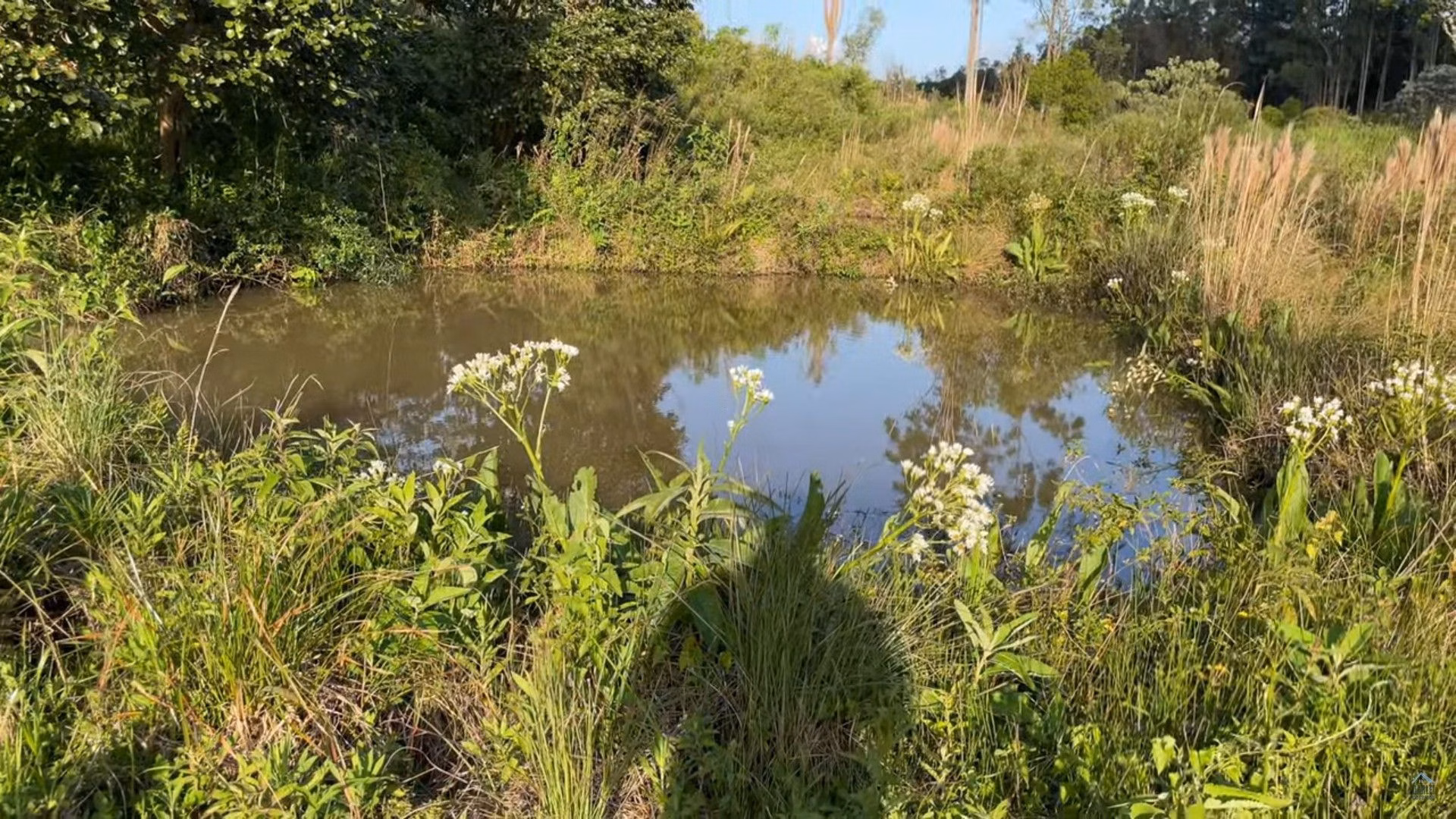 Country home of 22 acres in Caraá, RS, Brazil