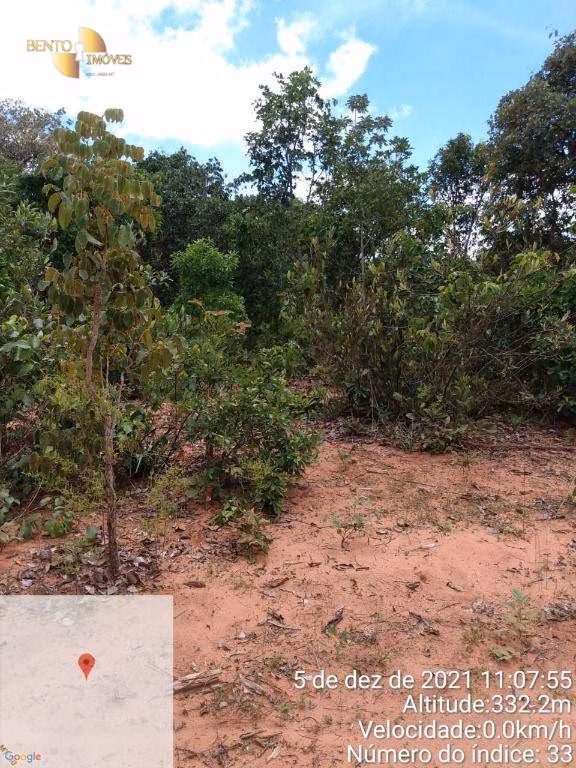 Fazenda de 750 ha em Guiratinga, MT