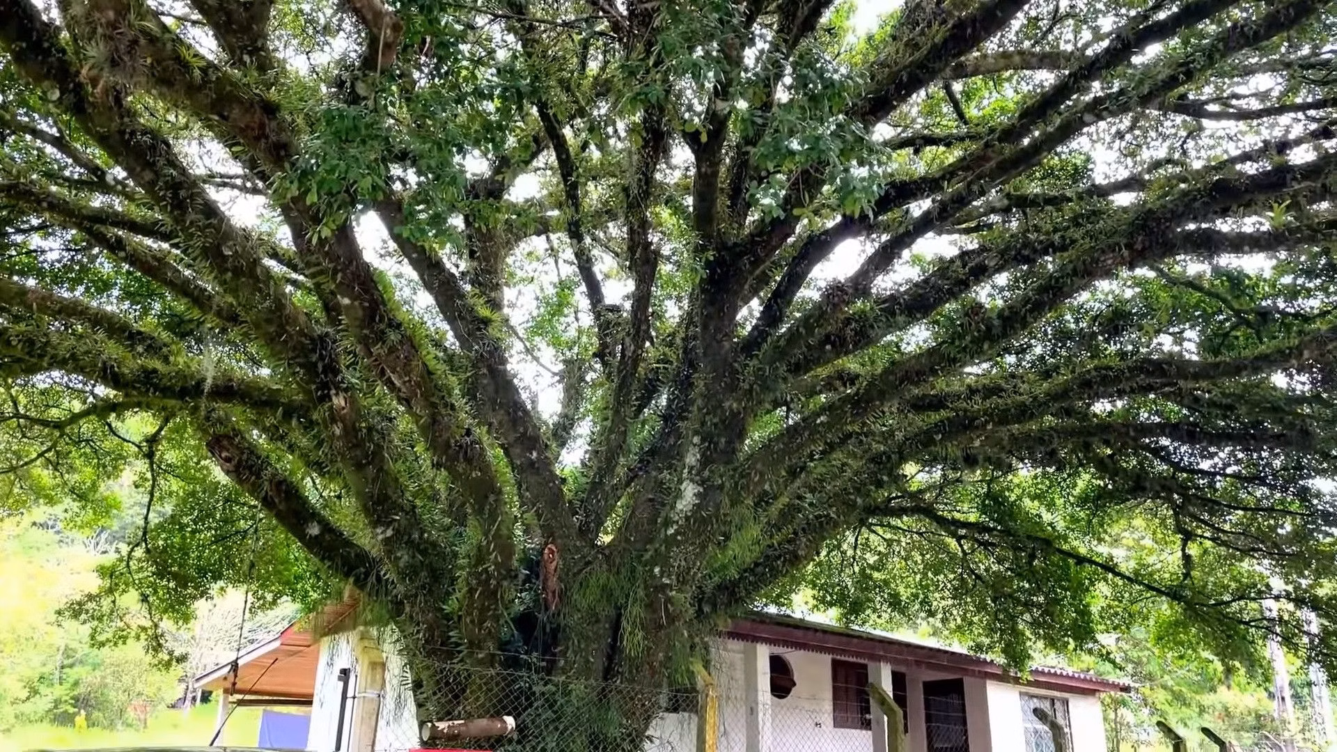 Country home of 2 acres in Caraá, RS, Brazil