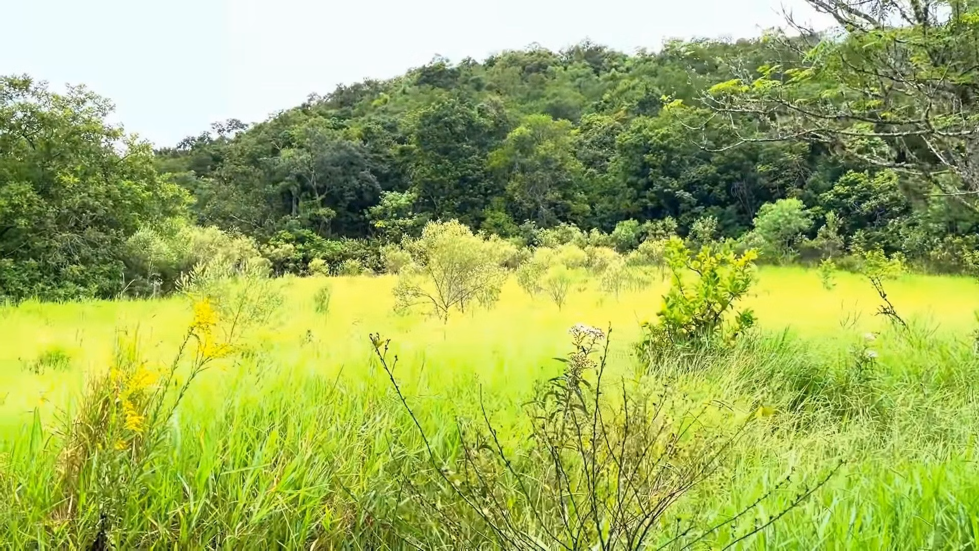 Country home of 2 acres in Caraá, RS, Brazil