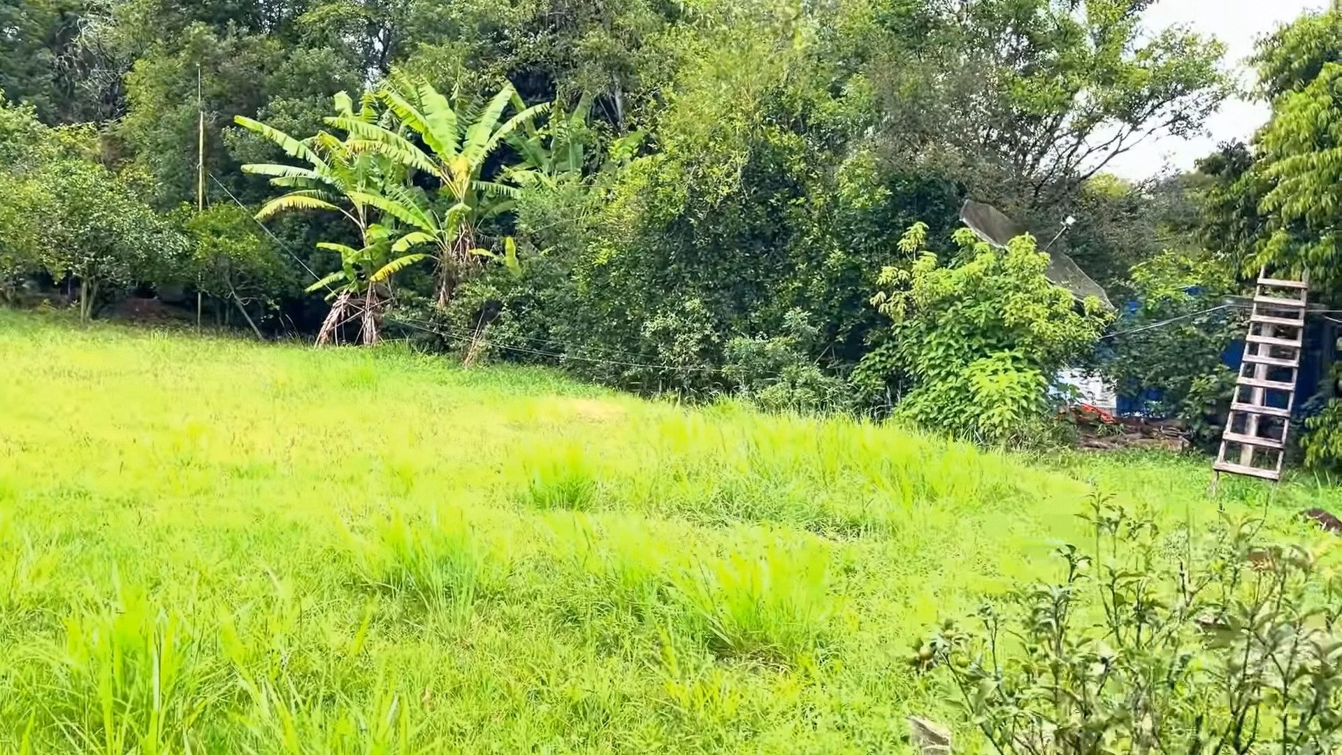 Country home of 2 acres in Caraá, RS, Brazil