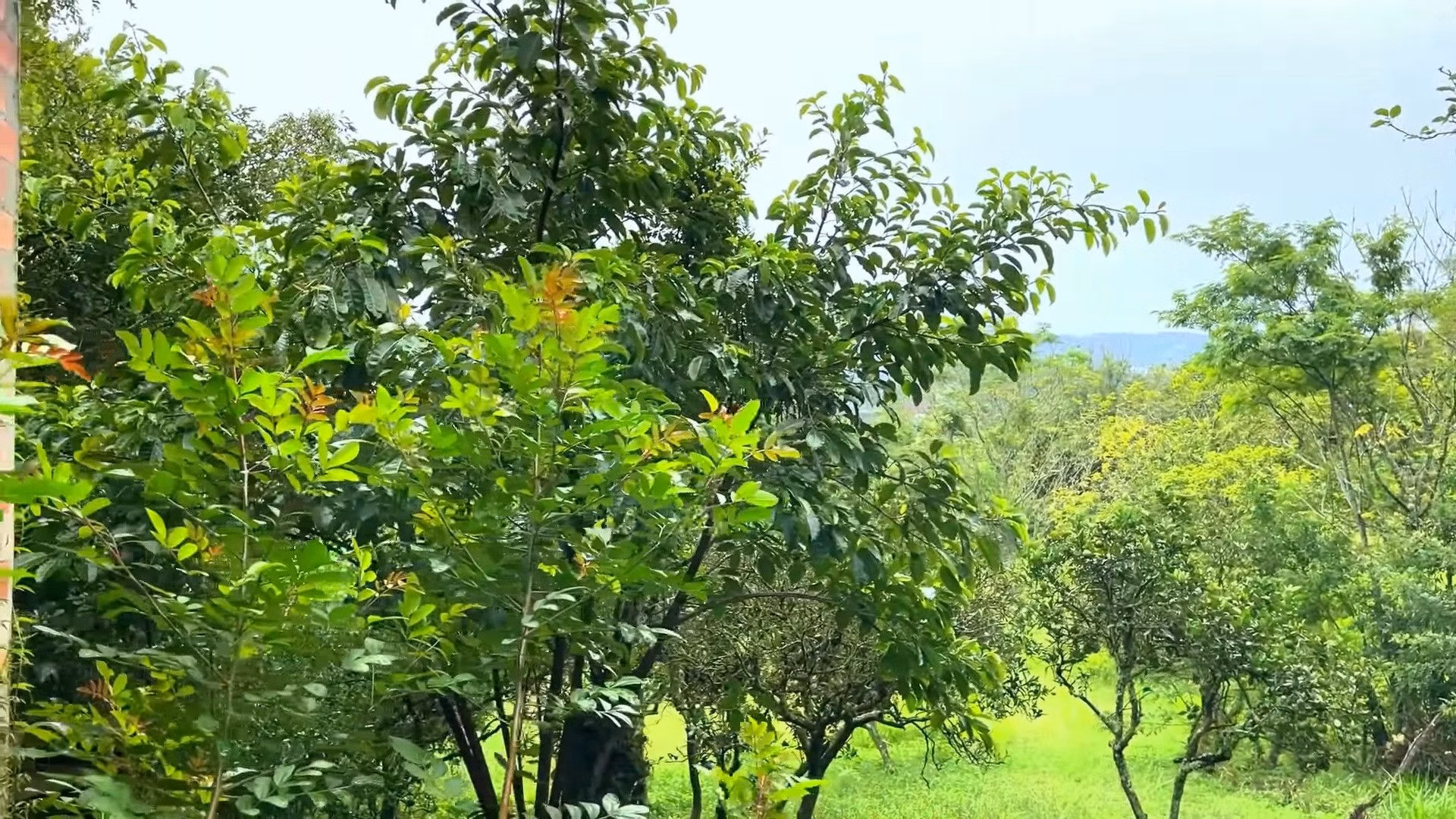 Country home of 2 acres in Caraá, RS, Brazil