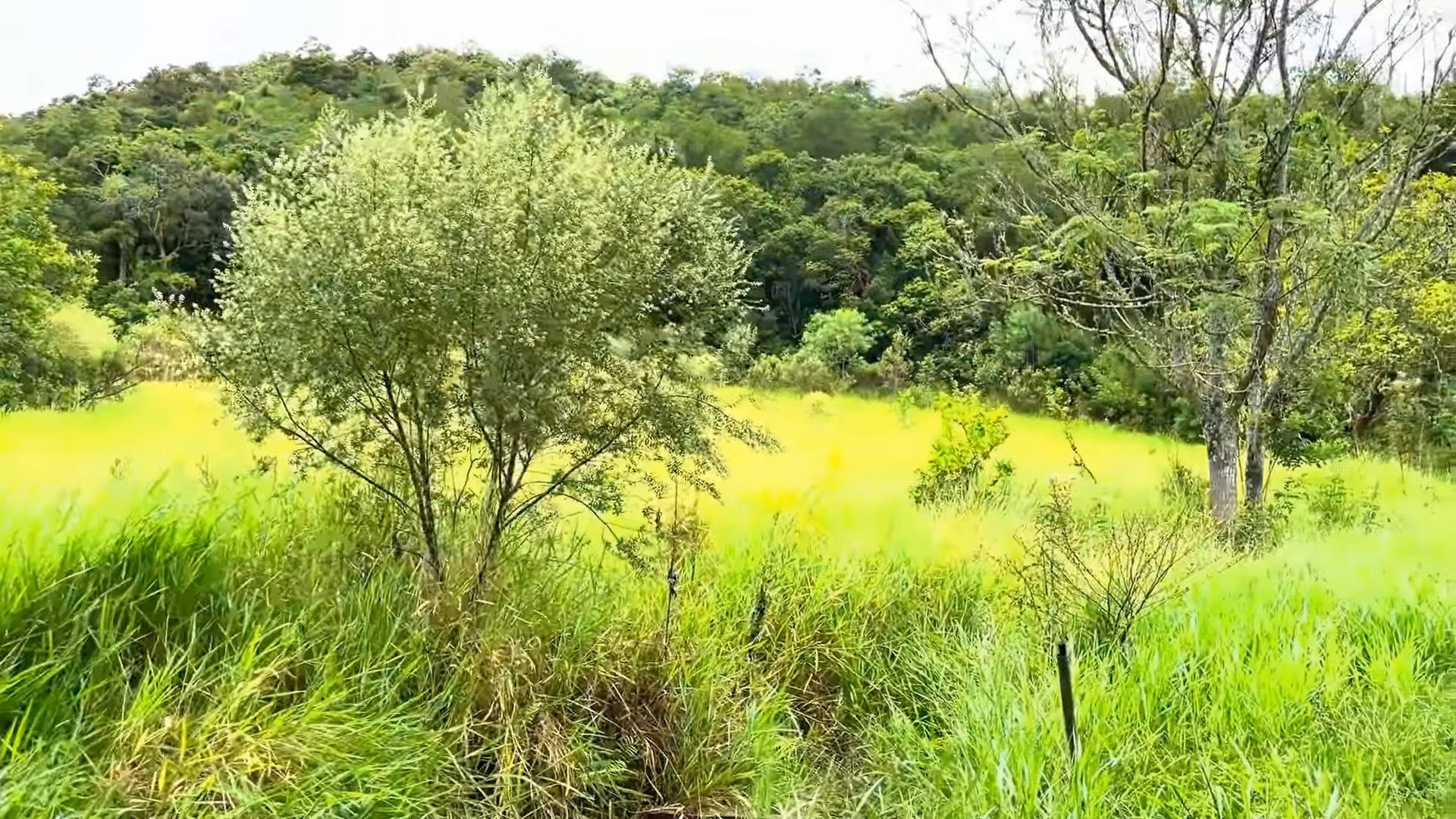 Country home of 2 acres in Caraá, RS, Brazil