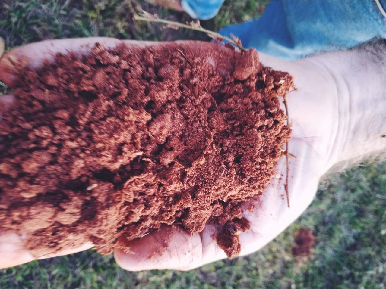 Fazenda de 1.134 ha em Chapadão do Sul, MS