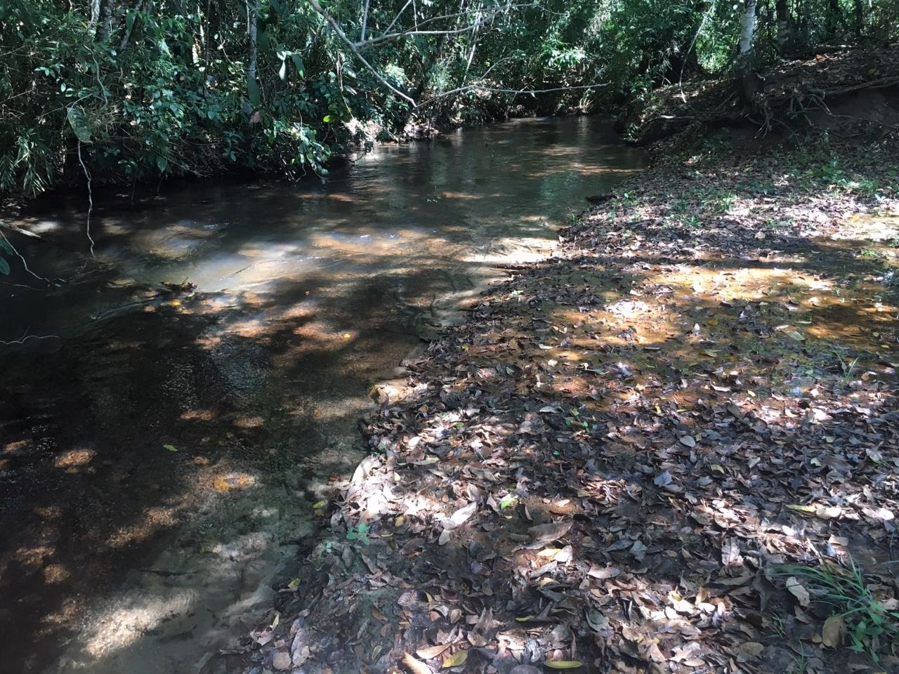 Fazenda de 1.134 ha em Chapadão do Sul, MS