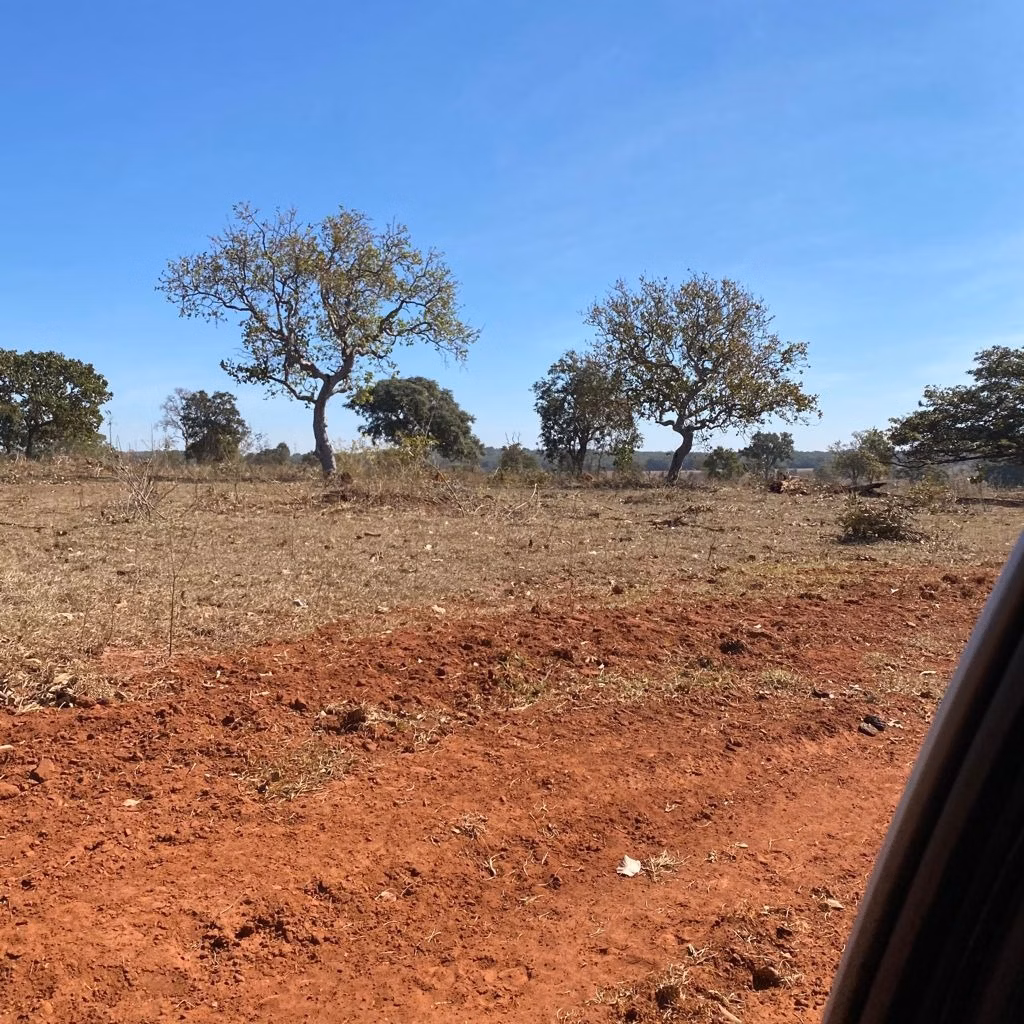 Fazenda de 1.134 ha em Chapadão do Sul, MS
