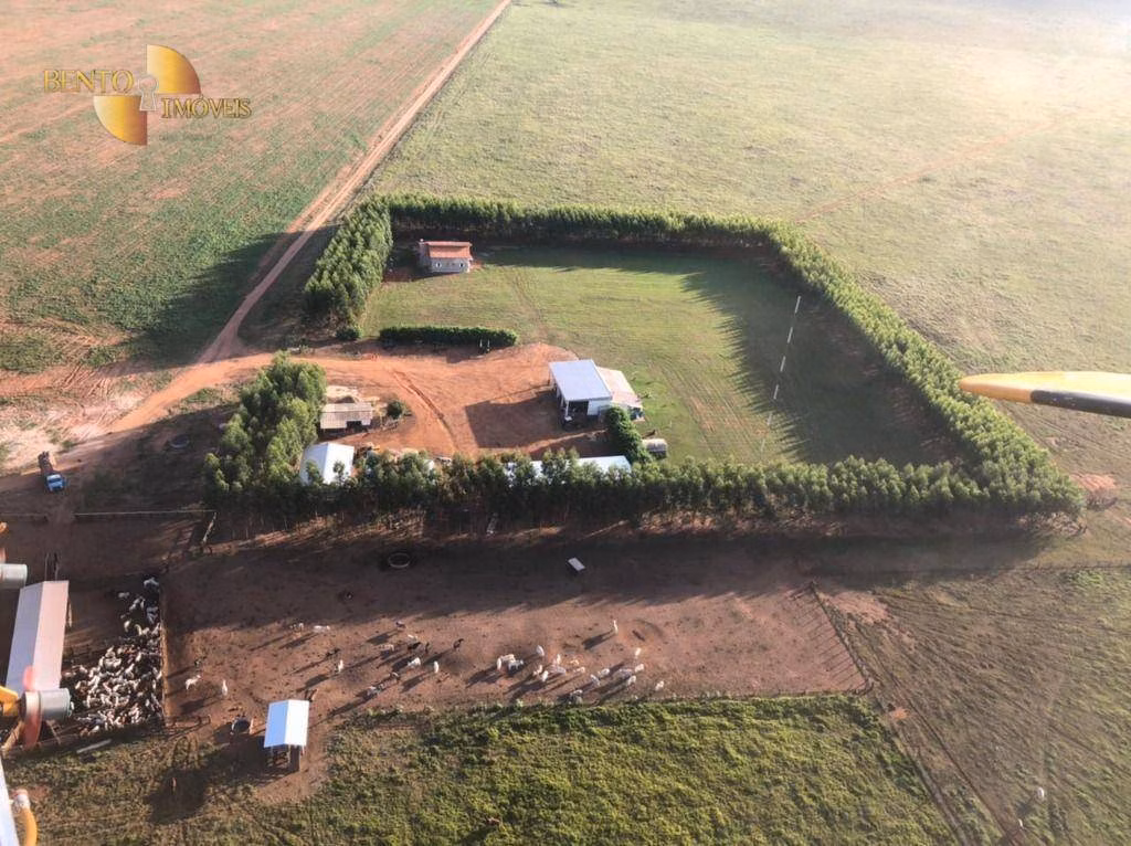 Fazenda de 3.360 ha em Tesouro, MT